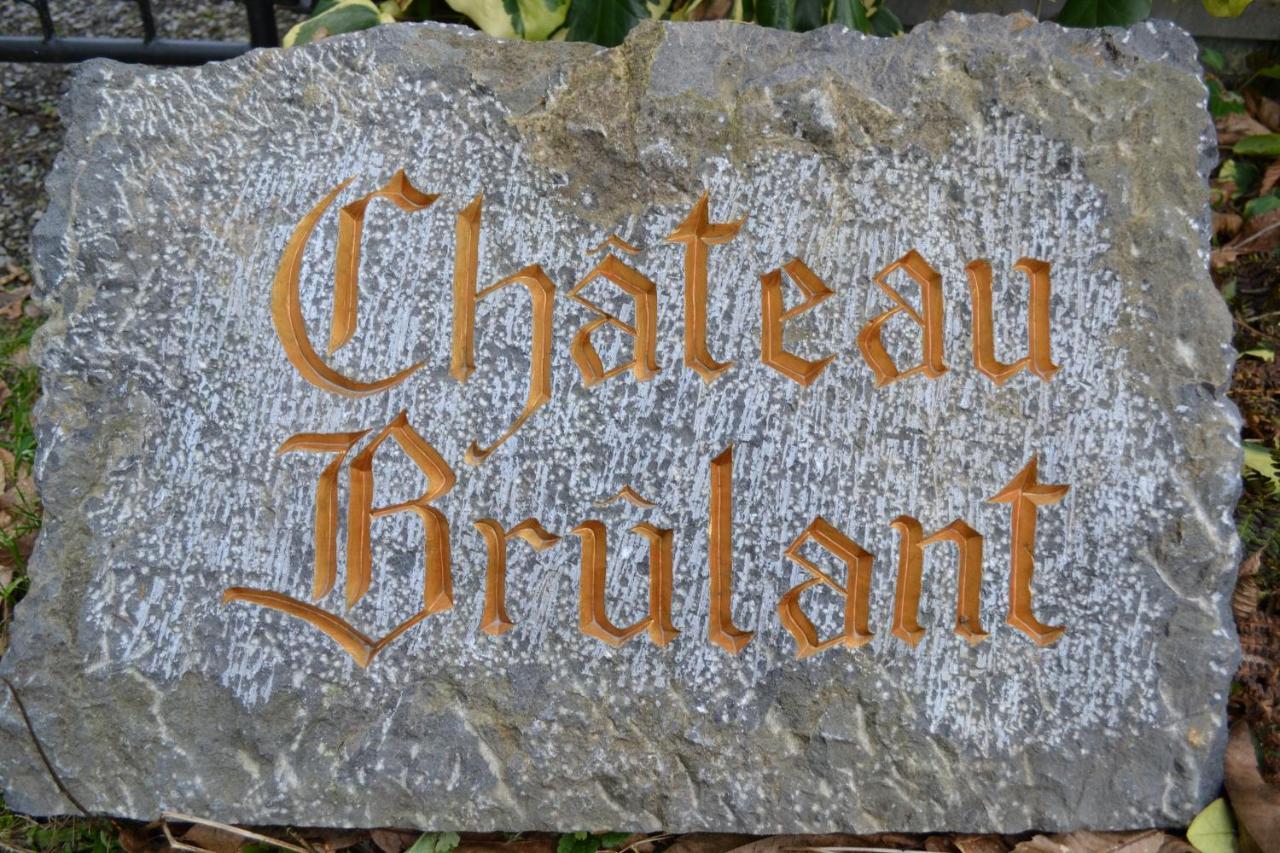 Chateau Brulant Somme-Leuze Exterior foto